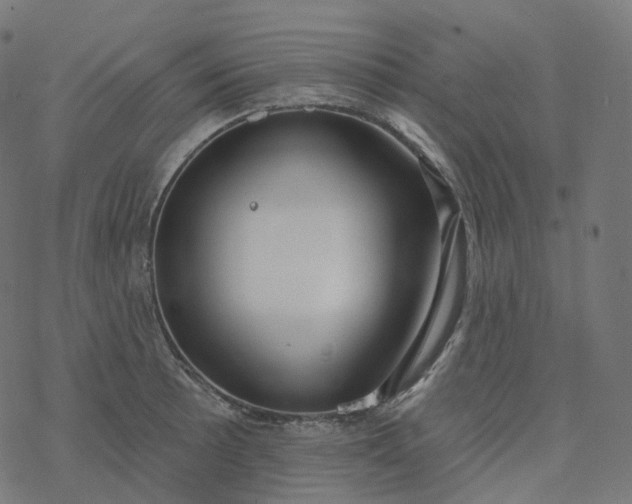 X0000077401089200611032020