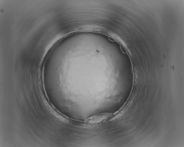 X0000077401091200611032020