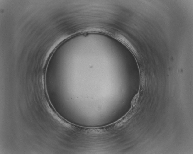 X0000077401092200611032020