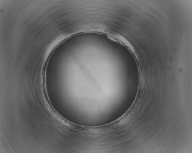 X0000077401096200611032020