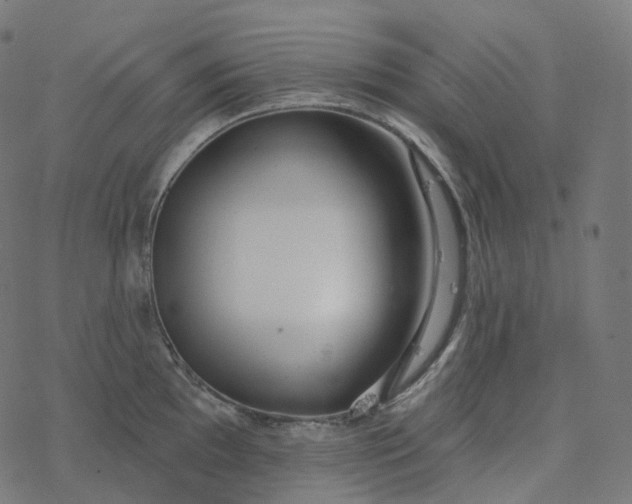 X0000077401097200611032020