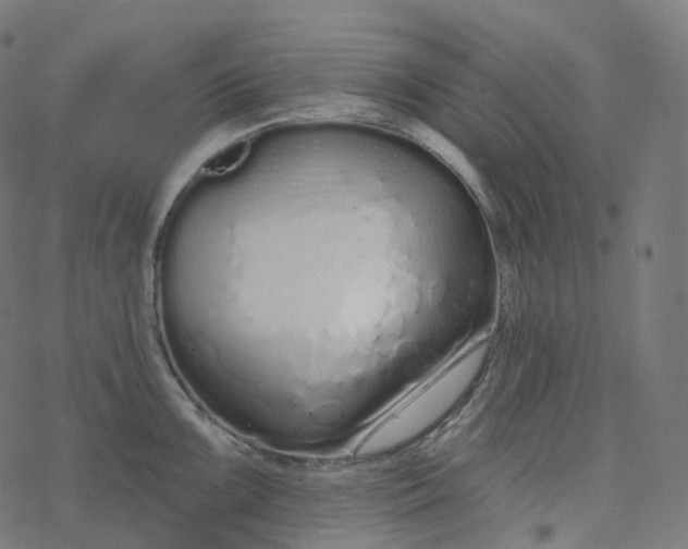 X0000077401099200611032020