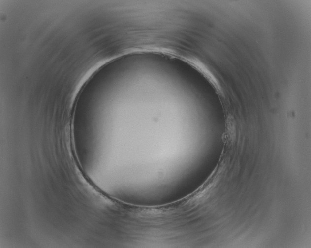 X0000077401100200611032020