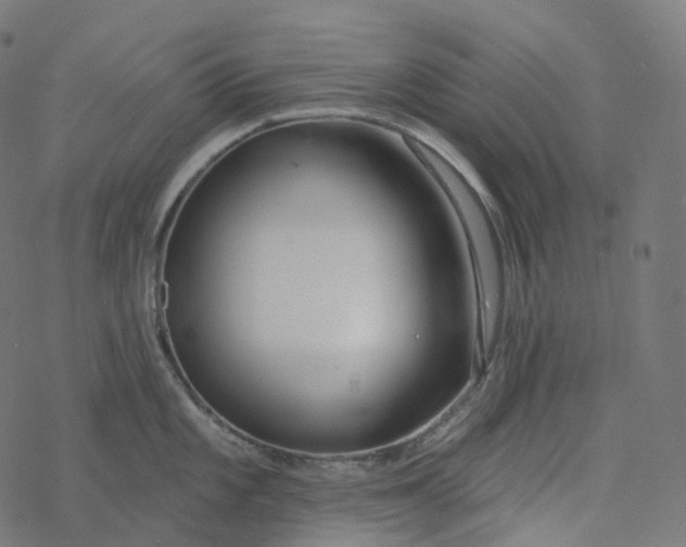 X0000077401101200611032020