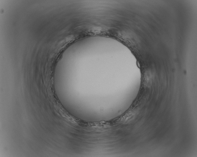 X0000077401105200611032019