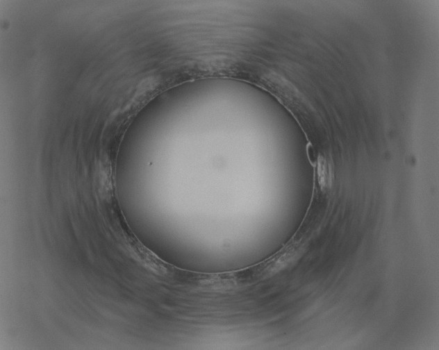 X0000077401107200611032019