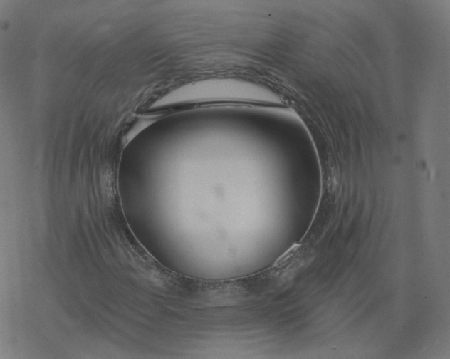 X0000077401108200611032019