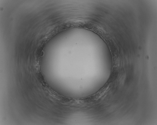 X0000077401109200611032019