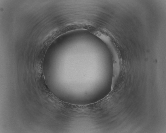 X0000077401110200611032019