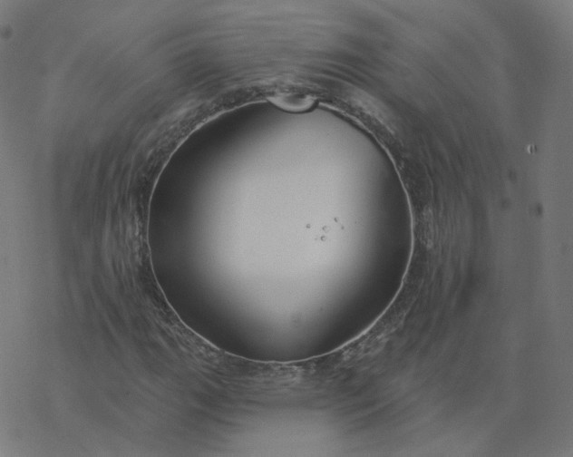 X0000077401111200611032019