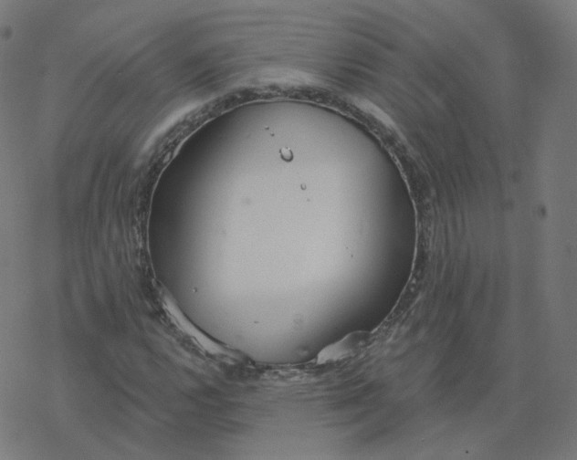 X0000077401112200611032019