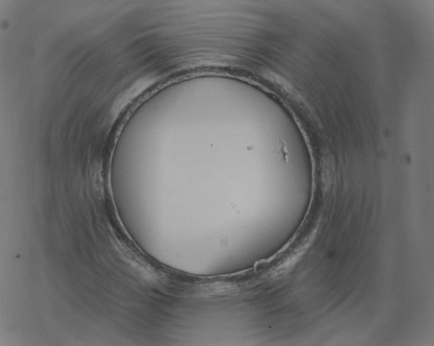 X0000077401113200611032019