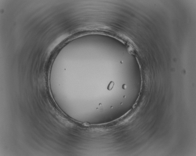 X0000077401114200611032019