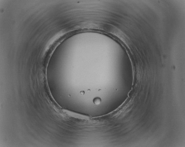 X0000077401115200611032019