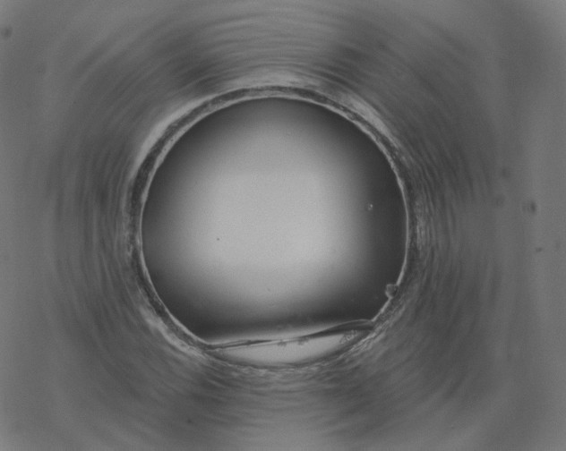 X0000077401116200611032019