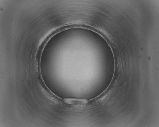 X0000077401118200611032019