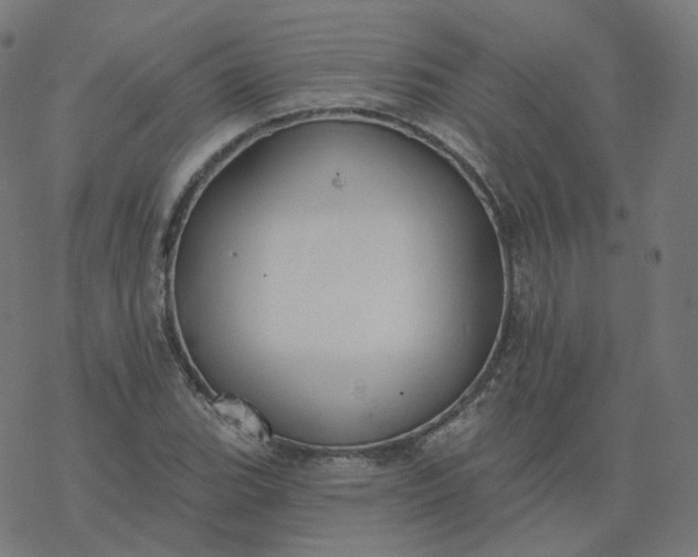 X0000077401119200611032020