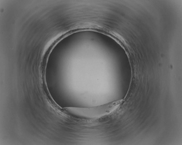 X0000077401120200611032020