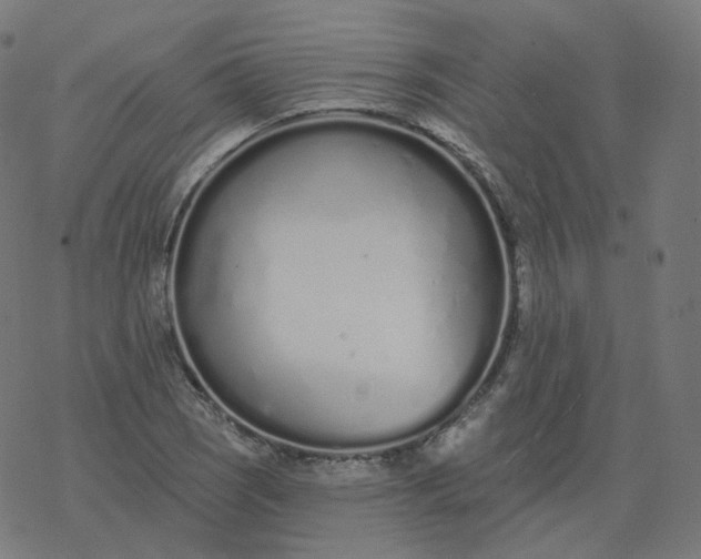 X0000077401121200611032020