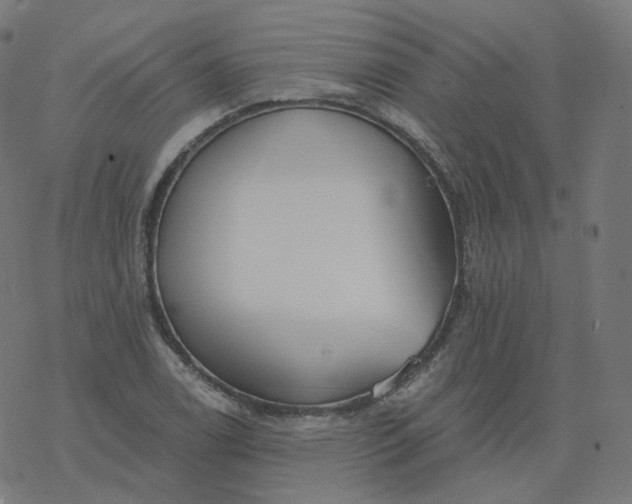 X0000077401122200611032020