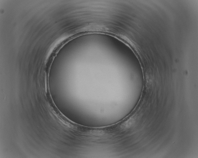 X0000077401123200611032020