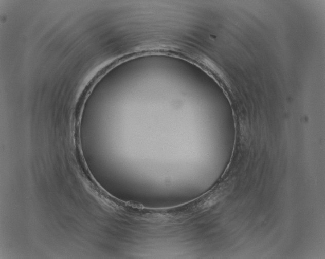 X0000077401124200611032020