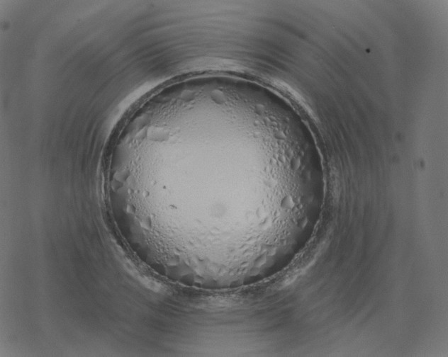 X0000077401125200611032020