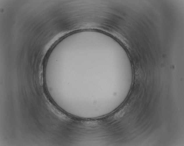 X0000077401126200611032020