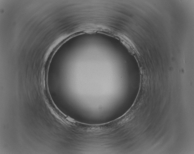 X0000077401128200611032020