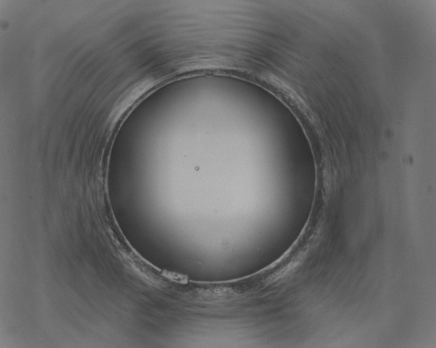 X0000077401129200611032020