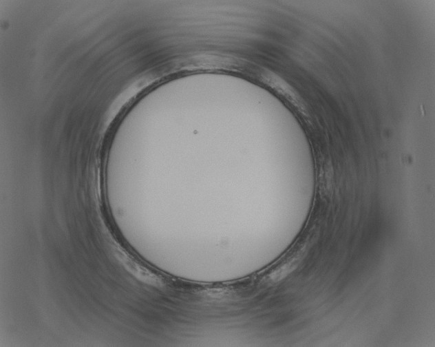 X0000077401130200611032020