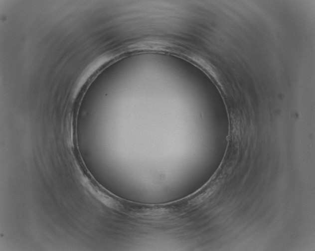 X0000077401131200611032020