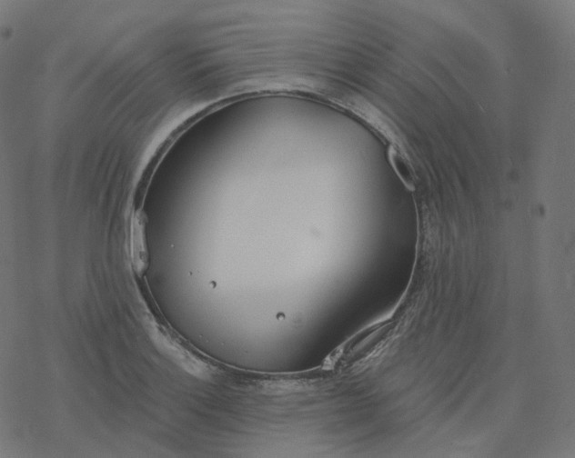 X0000077401132200611032020