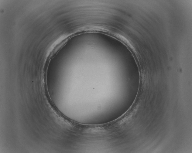 X0000077401133200611032020