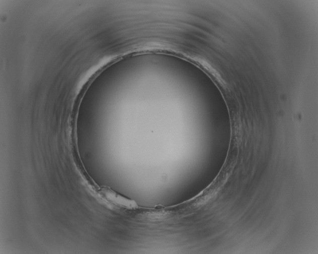 X0000077401134200611032020