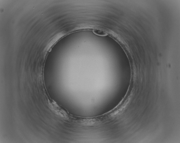 X0000077401137200611032020