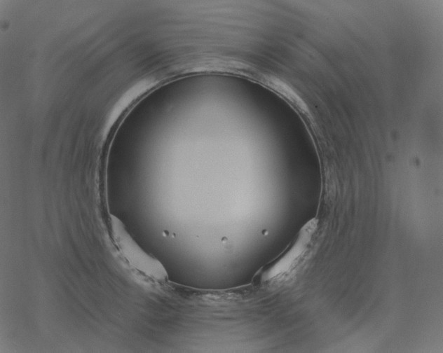 X0000077401138200611032020