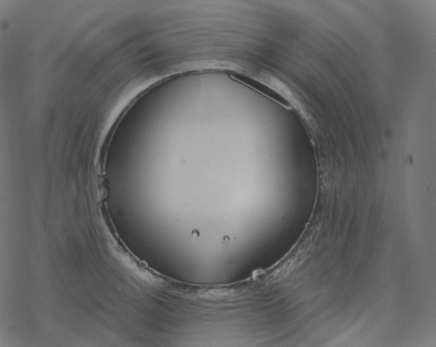 X0000077401140200611032020