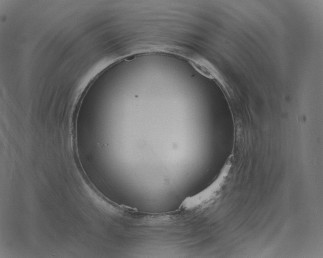 X0000077401143200611032020