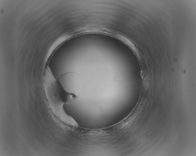 X0000077401146200611032020