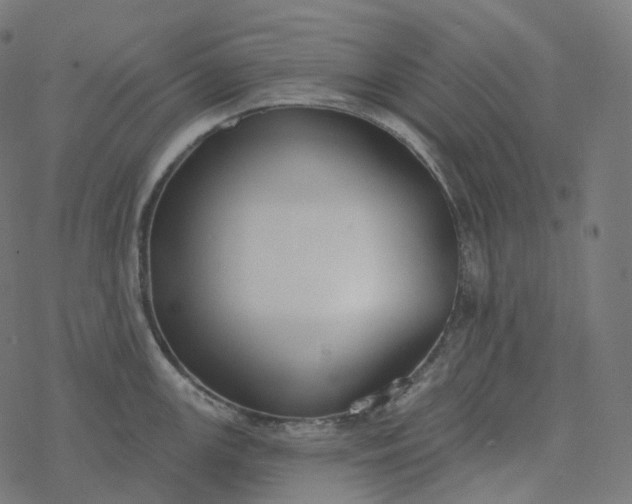 X0000077401147200611032020