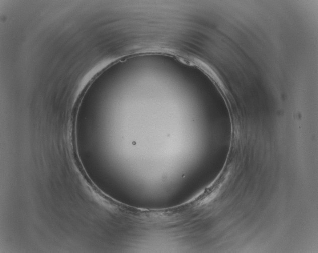 X0000077401149200611032020