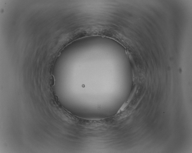 X0000077401153200611032019