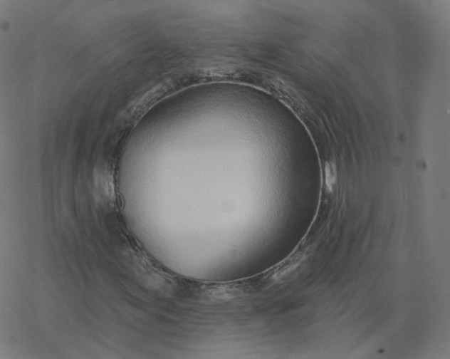 X0000077401155200611032019