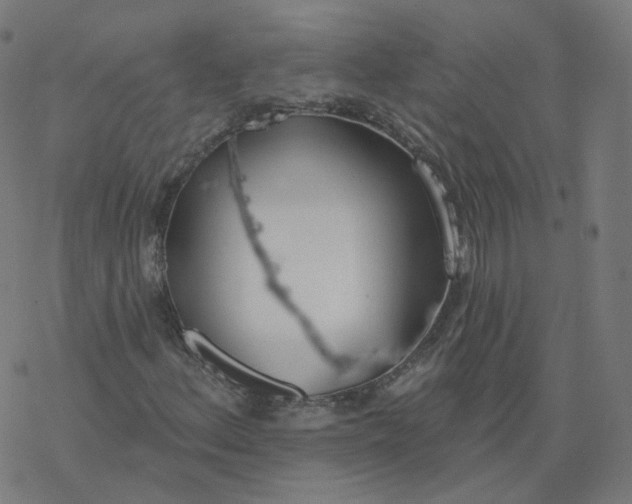 X0000077401156200611032019