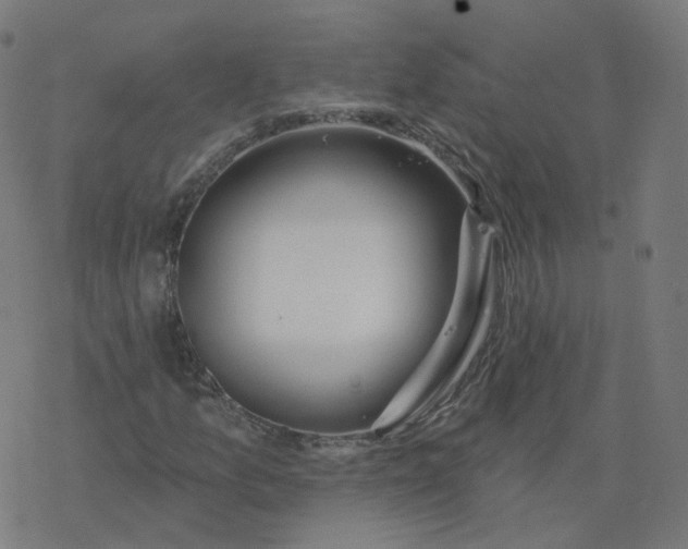 X0000077401157200611032019