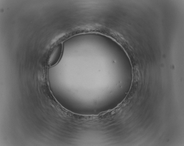 X0000077401158200611032019