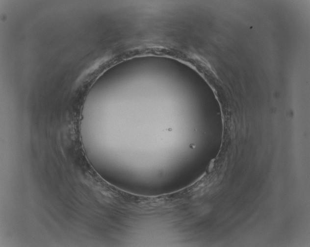 X0000077401159200611032019