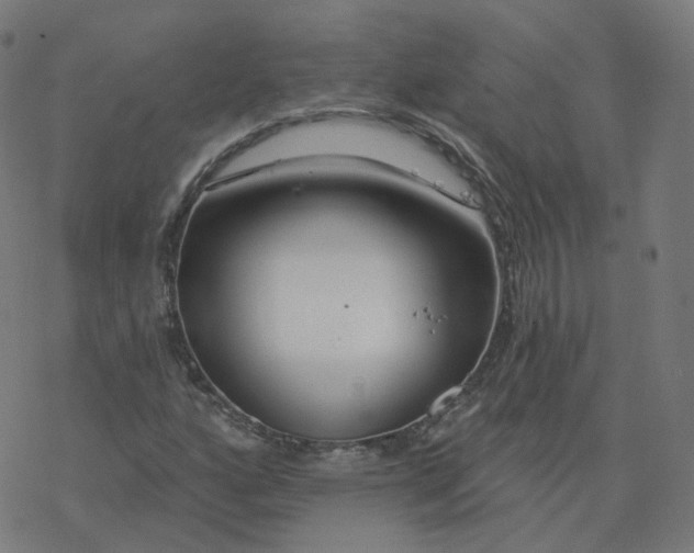 X0000077401160200611032019