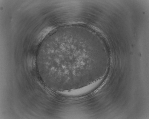 X0000077401161200611032019